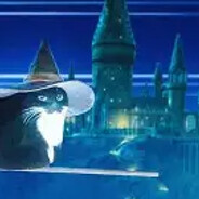will you fly to hogwar with me