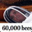 60,000 Bees