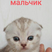 учимся играть