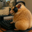 Hammy