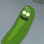 Pickle Riiick