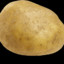 Potato