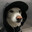 Syzyf