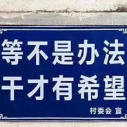 她说她爱喝牛栏山