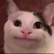 Fischfutter0 avatar