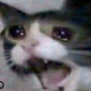 KittenBreath