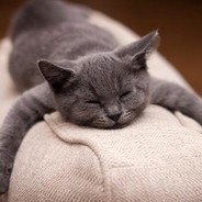 小姐姐一起玩吗？