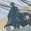 莲花山神
