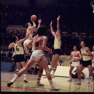 Bot Is Better Then Me!