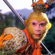 翻斗大街美猴王