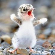 Fartin - steam id 76561197965485607