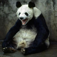 pandamyass