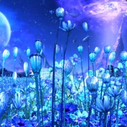 曾为青春写过诗