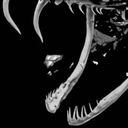 骑着材院的马高调路过