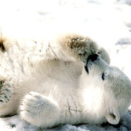 ᴰᴿᴵᵛᴷᴿᴬᶠᵀᴱᴺ