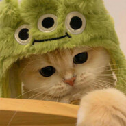 爱吃麦当劳薯条