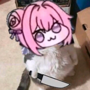 检查官调查你的学历