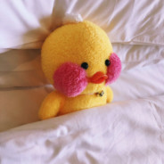 小刘刚枪没赢过