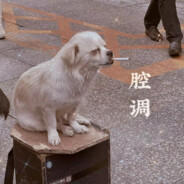 😍😍帅气的高校男神