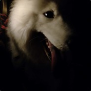 很开心，又活了一天