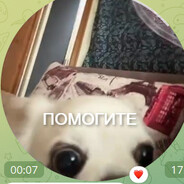 yes