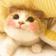 魔法少女猪壮壮