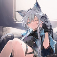 革命军—沙漠之狐