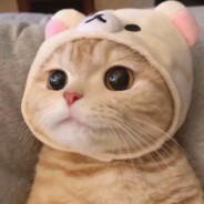 小五！你们赢就算我输