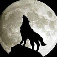 𝙾𝙻𝚍𝚠𝚘𝙻𝙵