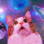 Mr Sparkle