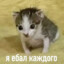извини