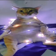 LiGhTing_MeOw