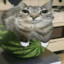 potat