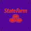 State Farm Rep