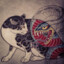 【𝓕𝓙𝓧】宽面