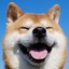 Shibainu Berry