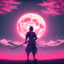 sky_samurai