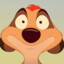 Timon