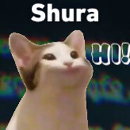 ⋘Shura⋙ avatar