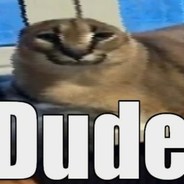 zxc чурчхела