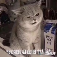 踩着跳板送人头