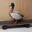 Skate Duck