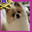 stayvfraw avatar