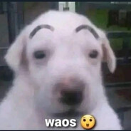 Fihd