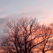 Filip_chyba skins.army