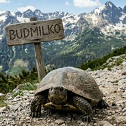 Budmilko