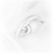 セラフィムⅩⅩⅠ