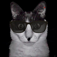 CcDragz avatar
