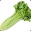 Heavenly Celery