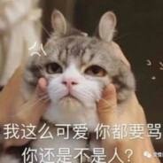 晚霞下的竹蜻蜓